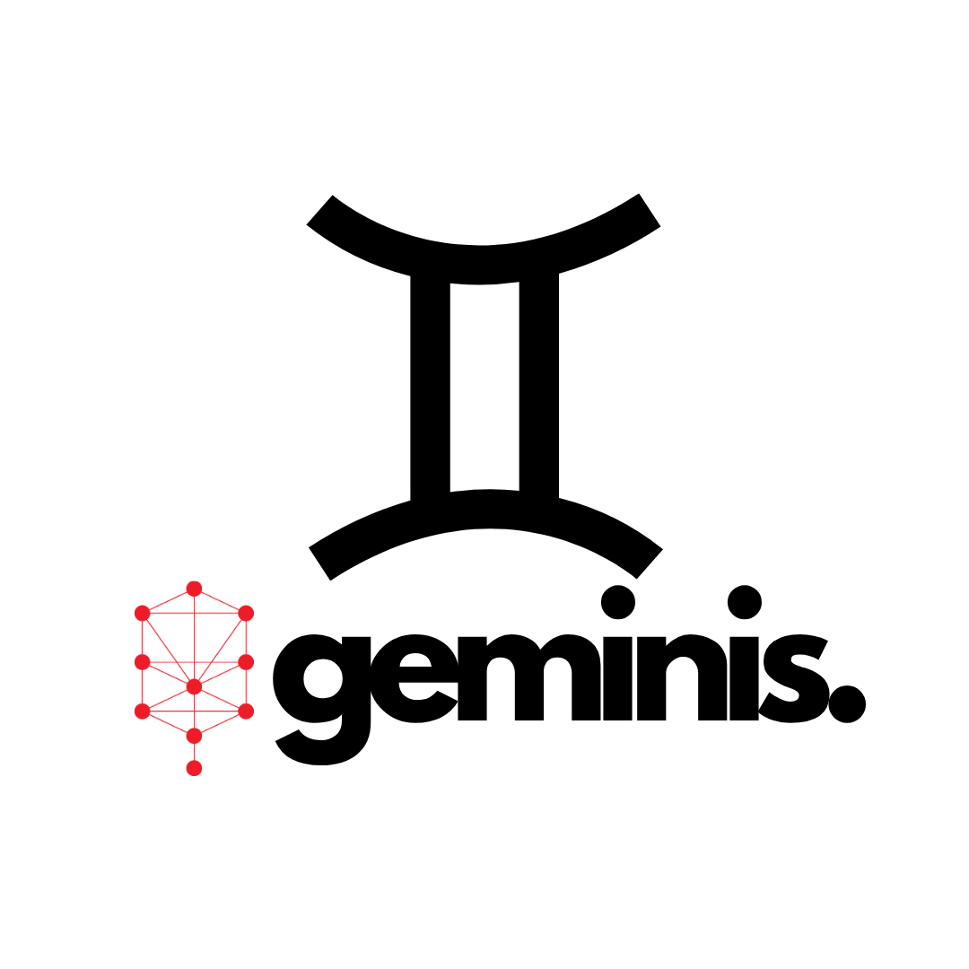 gemini zodiac artwork